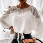 Embroidered Crochet Lace Hollow Out Long Sleeve Blouse