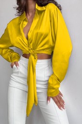 Delicate Satin Silk Shirt Blouse with Lace-Up Front and Crop