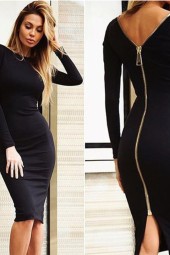 Elegant Autumn Back Zip Long Sleeve Pencil Bodycon Lace Dress